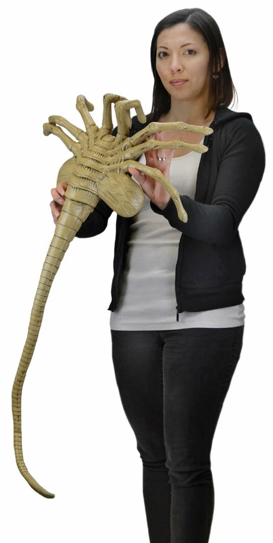 Flash Sale βοΈ Alien Life Size Facehugger Foam Prop Replica Horror π 3 Alien Life Size Facehugger Foam Prop Replica Horror