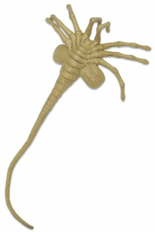 Flash Sale βοΈ Alien Life Size Facehugger Foam Prop Replica Horror π 1 Alien Life Size Facehugger Foam Prop Replica Horror